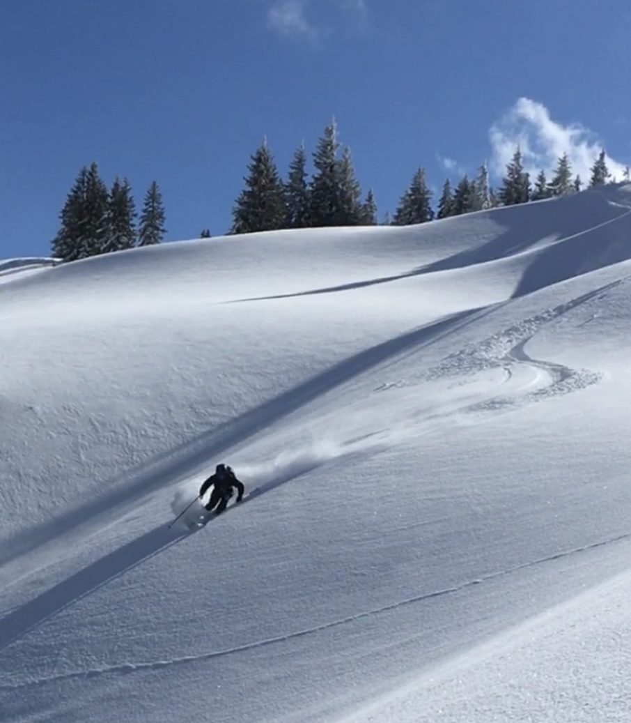Skier enjoying off-piste powder skiing in Nendaz, 4 Vallées, Switzerland.